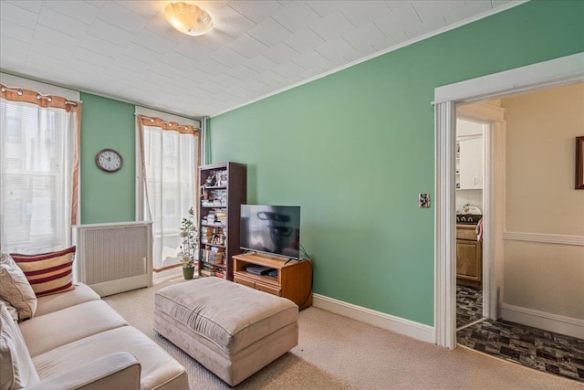 59-30 70th Ave, Ridgewood, NY 11385 - carpeted living room with baseboards