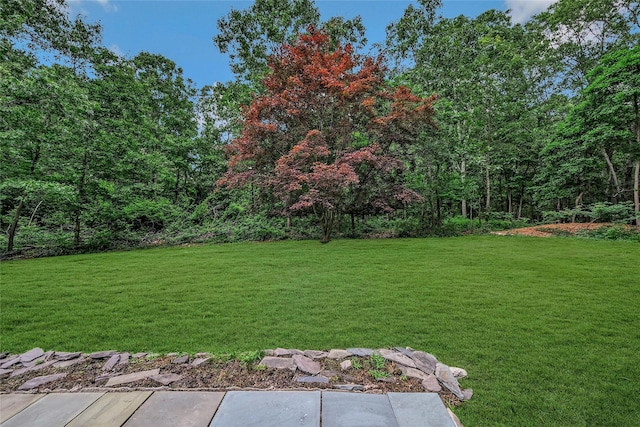7 Golf Club Cir, Manorville, NY 11949 - photo 35