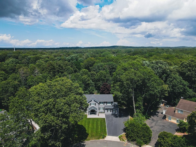 7 Golf Club Cir, Manorville, NY 11949 - photo 42