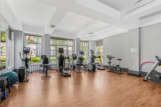 55 Oceana Dr E Unit 1B, Brooklyn, NY 11235 - workout area featuring wood finished floors, plenty of natural light, a tray ceiling, and radiator
