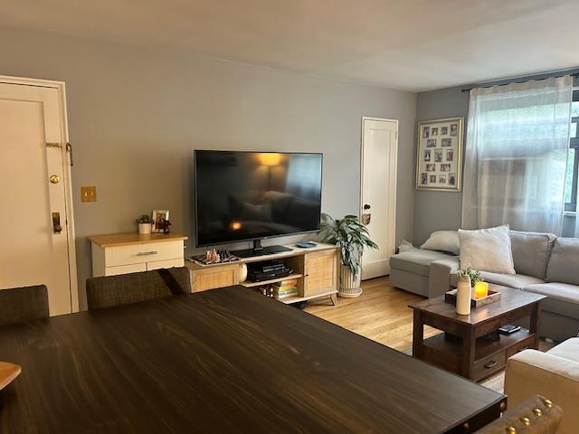 199-39 19th Ave Upper, Upper, Whitestone, NY 11357 - living room with light wood finished floors