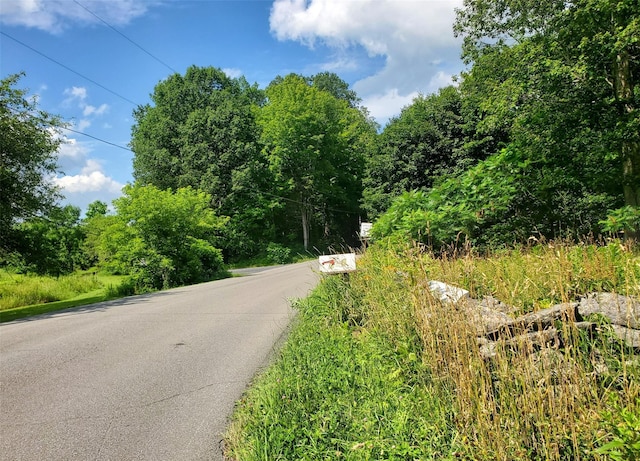 785 S St, Plattekill, NY 12528 - view of asphalt road