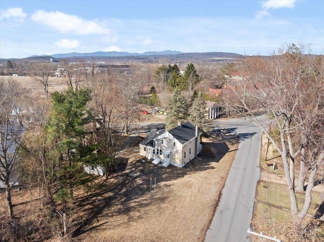 181 Mansion St, Coxsackie, NY 12051 - photo 28