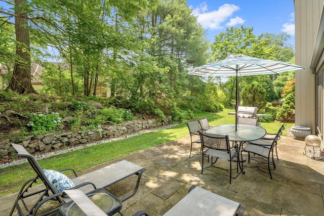 521 Heritage Hls Unit A, Somers, NY 10589 - photo 32