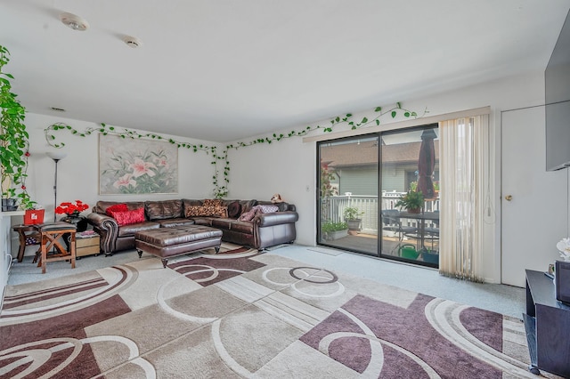 199 Cambridge Dr E, Copiague, NY 11726 - view of carpeted living area