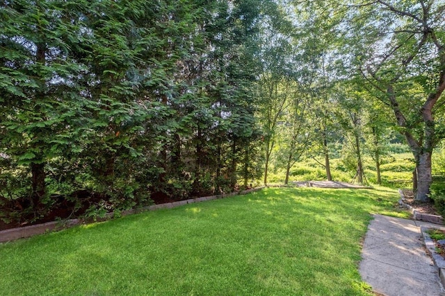 6 Kaateskill Pl, Scarsdale, NY 10583 - photo 31