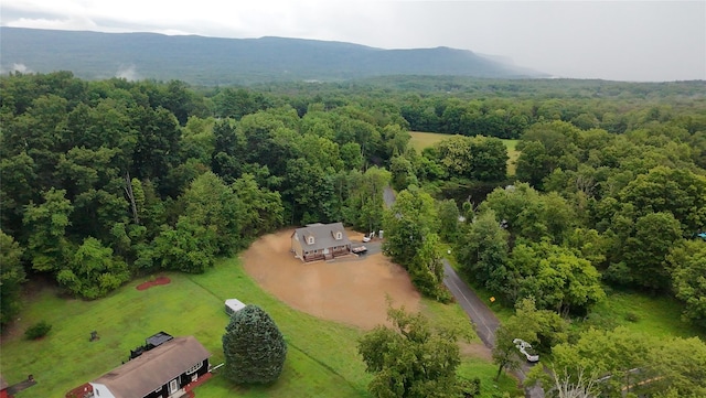 35 Papuga Rd, Pine Bush, NY 12566 - photo 2