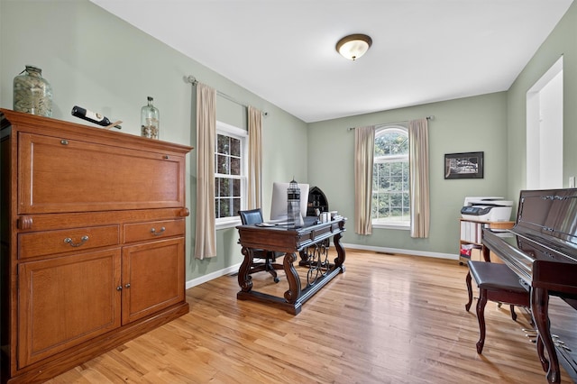 70 Hosner Mountain Rd, Hopewell Junction, NY 12533 - office featuring light wood-type flooring
