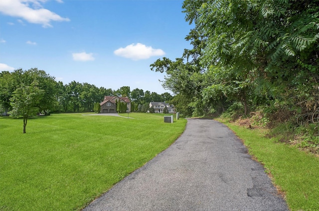 70 Hosner Mountain Rd, Hopewell Junction, NY 12533 - view of community with a yard