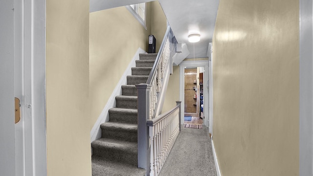 164-02 107th Ave, Jamaica, NY 11433 - staircase featuring carpet floors and baseboards