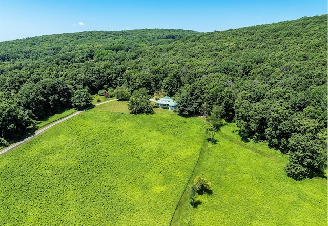 3778 State Route 82, Ancramdale, NY 12503 - bird's eye view of a heavily wooded area