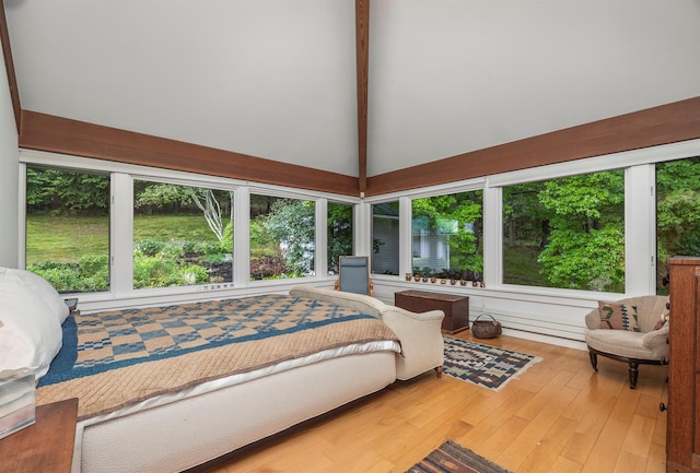 3778 State Route 82, Ancramdale, NY 12503 - bedroom with high vaulted ceiling and wood finished floors