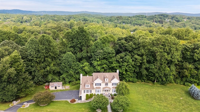 53 Quail Ln, Brewster, NY 10509 - view of subject property with a forest