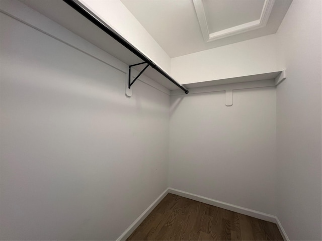 96 Baybright Dr, Shirley, NY 11967 - walk in closet featuring dark wood-style floors