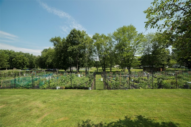 27A Walden Ct Unit A, Yorktown Heights, NY 10598 - view of yard featuring a garden