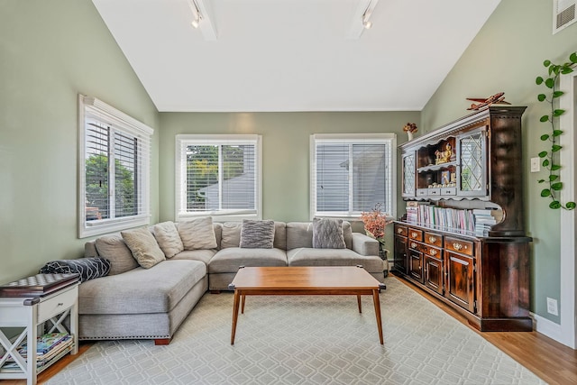 43 Ranch Dr, Shirley, NY 11967 - living room featuring rail lighting, vaulted ceiling, and light wood finished floors