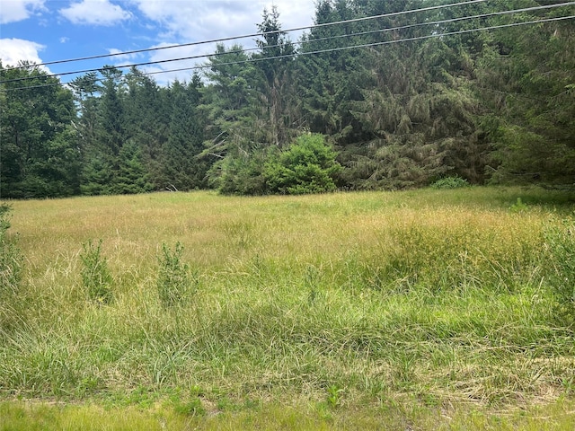 27 Woods Rd, Yulan, NY 12792 - photo 3
