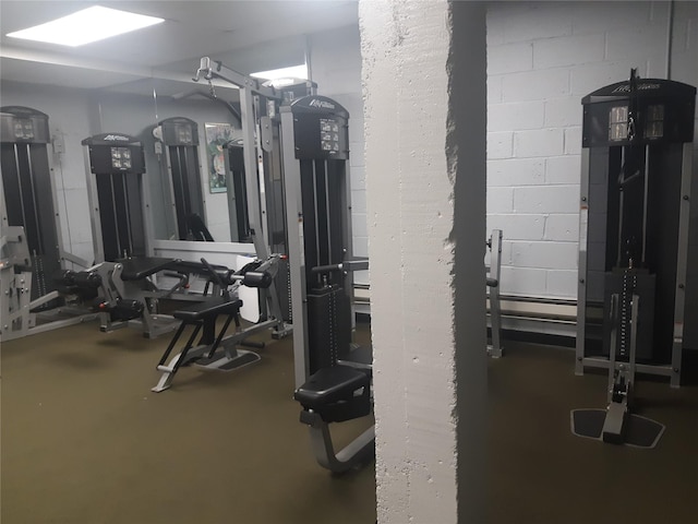 54-40 Little Neck Pkwy Unit 4M, Little Neck, NY 11362 - view of exercise room