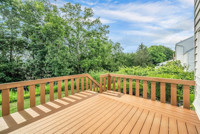 21 Pamela Ln, Valhalla, NY 10595 - photo 25
