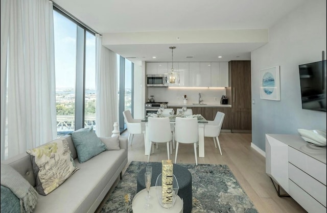 131-01 40th Rd Unit 11N, Flushing, NY 11354 - living room featuring light wood-style floors, healthy amount of natural light, and expansive windows