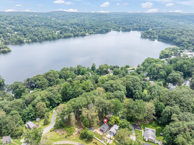 3 Preston Pl, Patterson, NY 12563 - aerial view of property and surrounding area featuring a large body of water