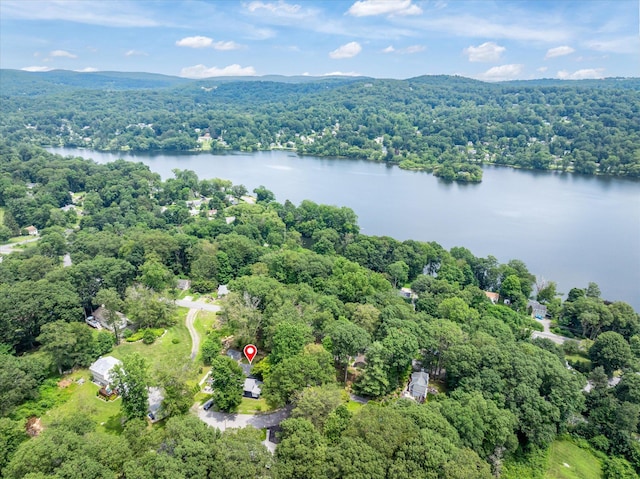 3 Preston Pl, Patterson, NY 12563 - bird's eye view of a heavily wooded area and a nearby body of water