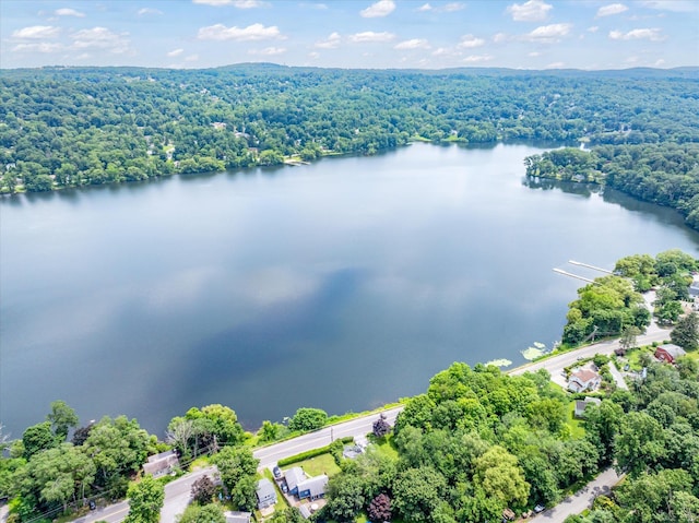 3 Preston Pl, Patterson, NY 12563 - aerial view of a heavily wooded area and a large body of water