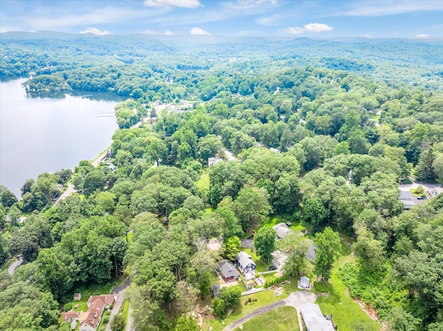 3 Preston Pl, Patterson, NY 12563 - drone / aerial view of a forest and a large body of water