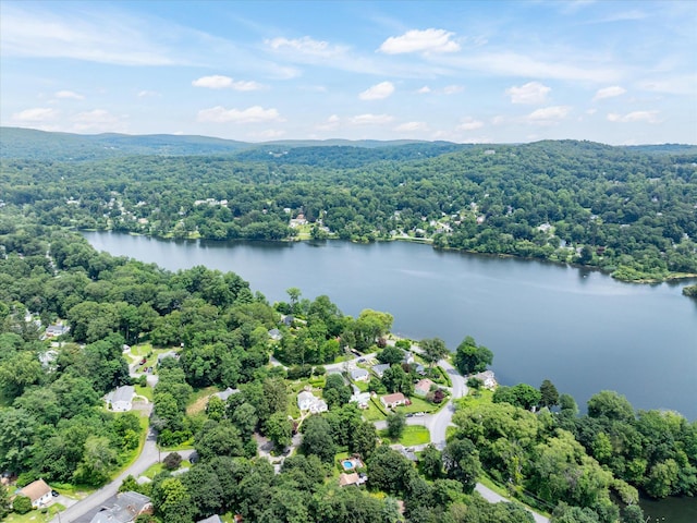 3 Preston Pl, Patterson, NY 12563 - bird's eye view of a heavily wooded area and a large body of water