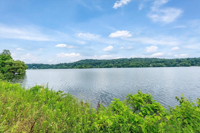 3 Preston Pl, Patterson, NY 12563 - water view with a forest