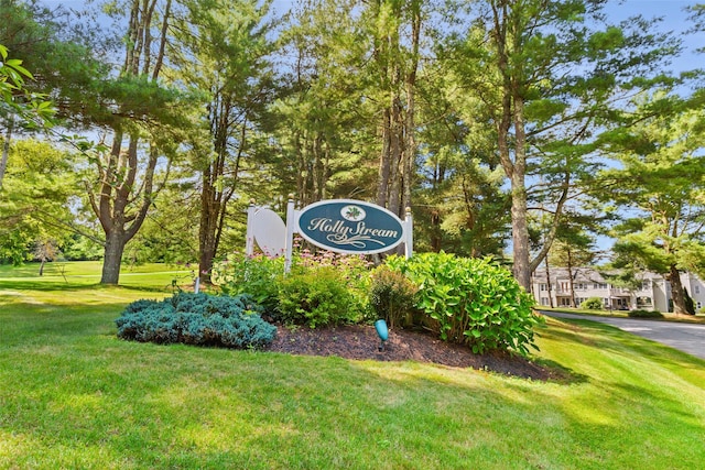 103 Holly Stream Ct, Brewster, NY 10509 - photo 1