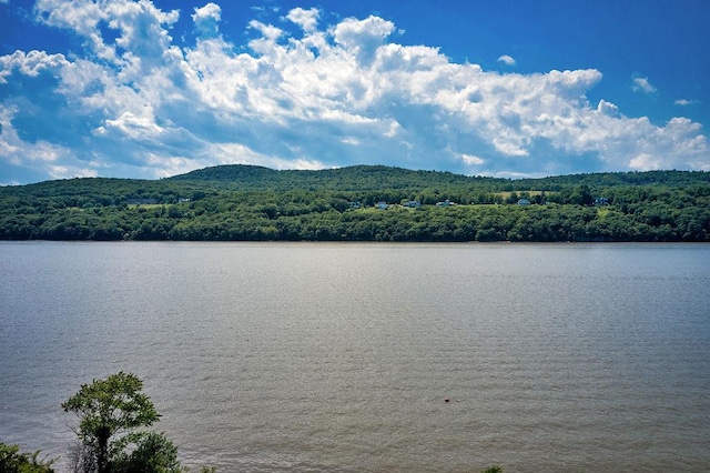 66 River Rd, Hyde Park, NY 12538 - photo 3
