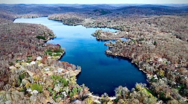 27 W Ave, Putnam Valley, NY 10579 - bird's eye view of a water and mountain view and a heavily wooded area