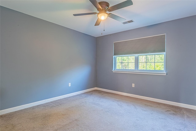 54 Holly Loop, Wappingers Falls, NY 12590 - photo 20