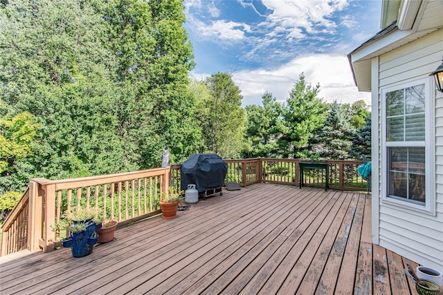 54 Holly Loop, Wappingers Falls, NY 12590 - photo 28