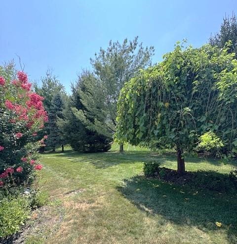 54 Holly Loop, Wappingers Falls, NY 12590 - photo 24