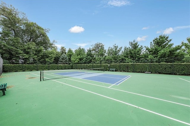 54 Holly Loop, Wappingers Falls, NY 12590 - photo 33