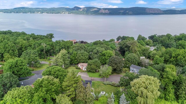 3 Ivanhoe Pl, Briarcliff Manor, NY 10510 - photo 18