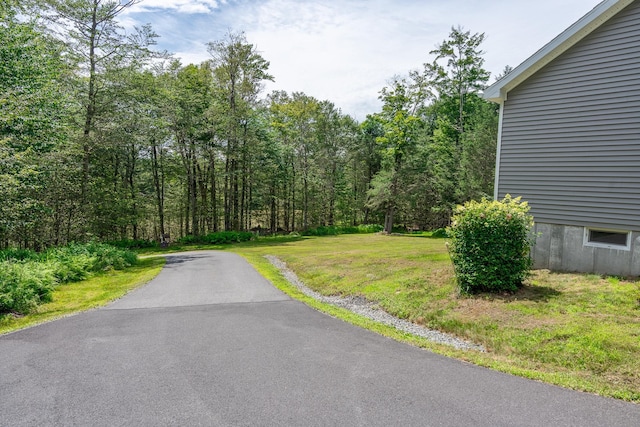 56 Ahrens Rd, Parksville, NY 12768 - photo 22