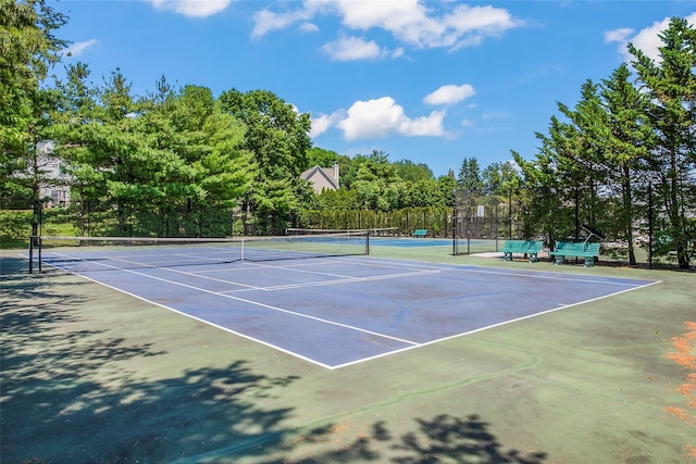 95 Erin Ln, Setauket, NY 11733 - photo 37