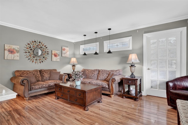 28 Lapin Ln, Blauvelt, NY 10913 - living room featuring ornamental molding and light wood-style flooring