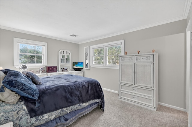 28 Lapin Ln, Blauvelt, NY 10913 - bedroom with crown molding, multiple windows, and light carpet