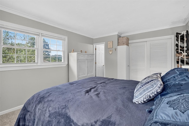 28 Lapin Ln, Blauvelt, NY 10913 - carpeted bedroom with crown molding and a closet