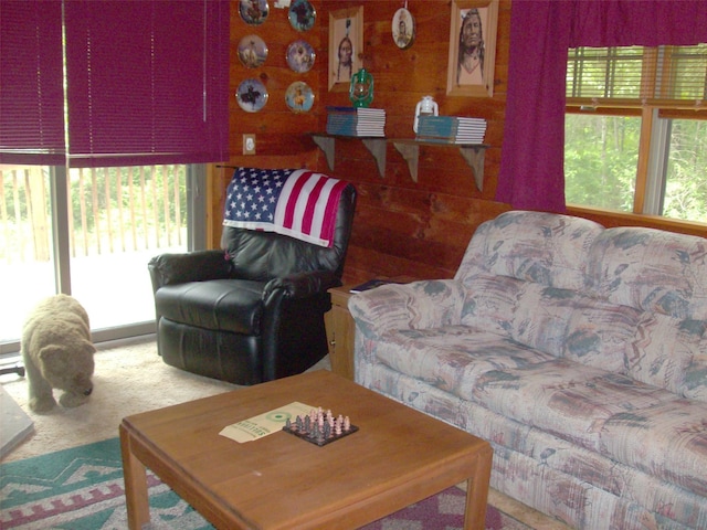 1460 Old Rte 17, Roscoe, NY 12776 - view of carpeted living room