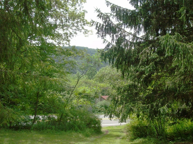 1460 Old Rte 17, Roscoe, NY 12776 - view of yard featuring a view of trees