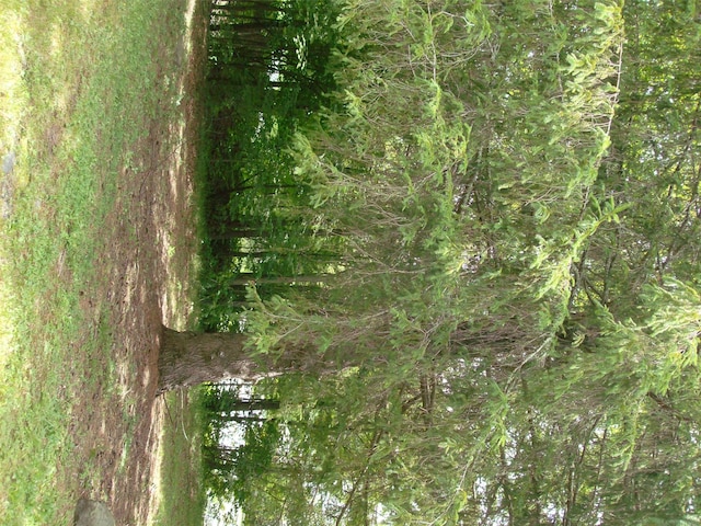 1460 Old Rte 17, Roscoe, NY 12776 - view of undeveloped land