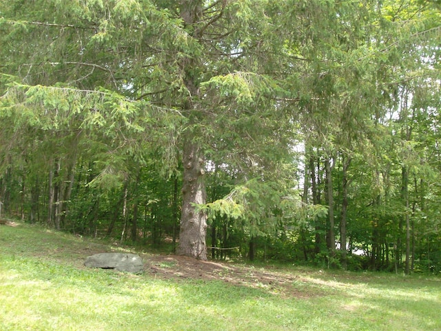 1460 Old Rte 17, Roscoe, NY 12776 - view of tree filled area