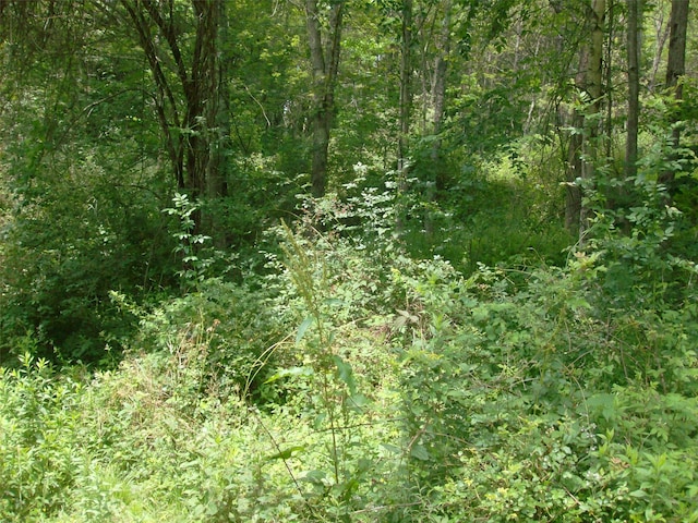 1460 Old Rte 17, Roscoe, NY 12776 - photo 34