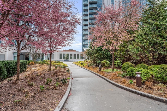 133-36 37th Ave Unit 10, Flushing, NY 11354 - view of community