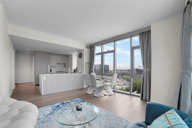 133-36 37th Ave Unit 10, Flushing, NY 11354 - living room featuring light wood finished floors, a wall of windows, and a city view